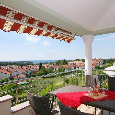 In With Swimming Pool