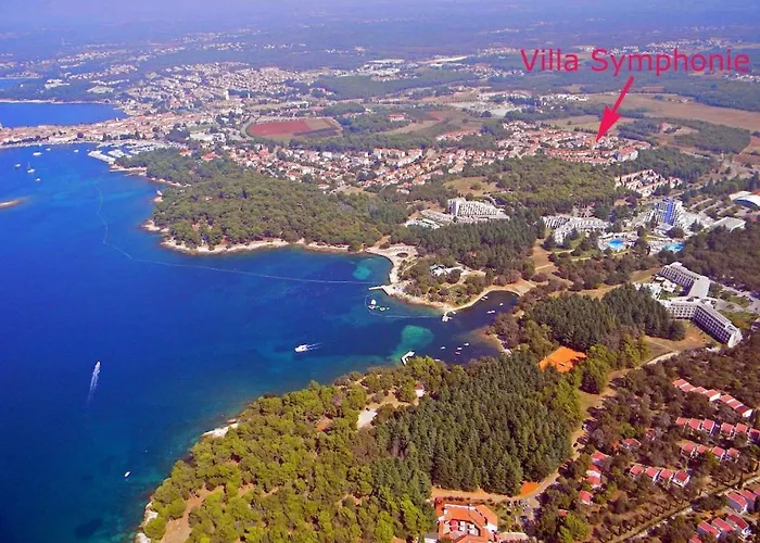 In With Swimming Pool *