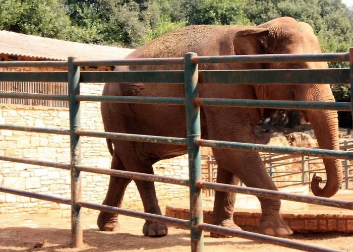 In With Swimming Pool *